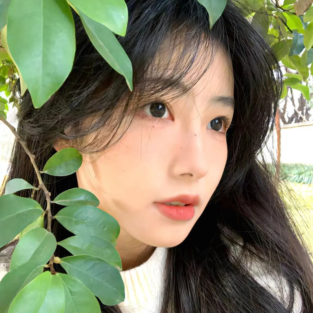 我的夜晚比你的白天更美 在线观看
